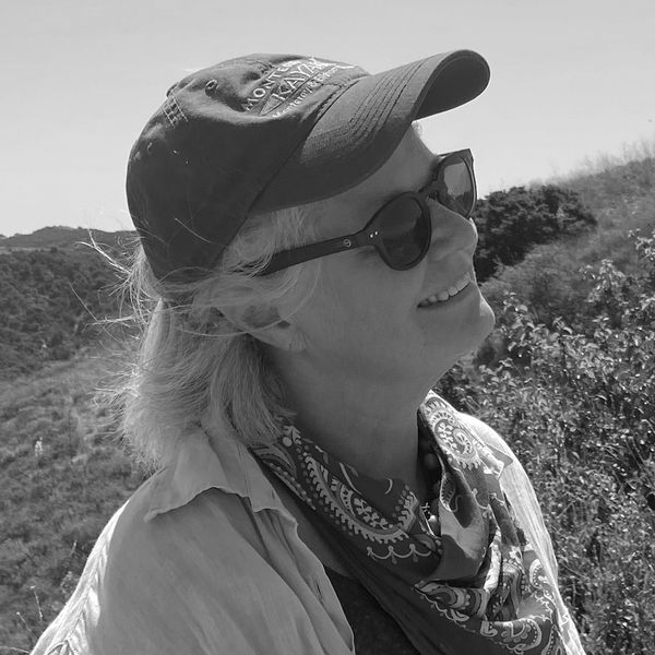 Anne Herlihy